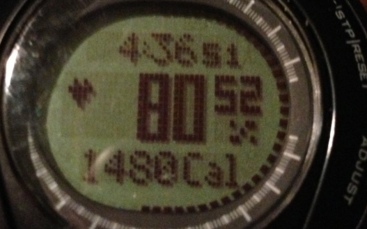 On 13 Feb. I burned about 1480 calories during the ski day. (If only I could eat less than 1470!)