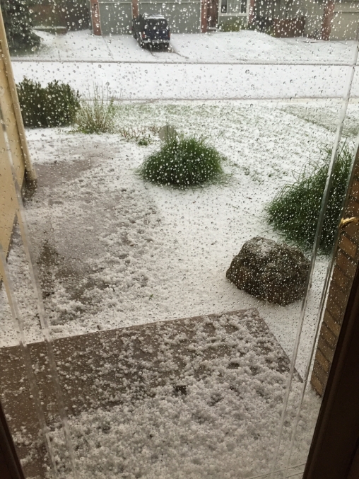 6 June 2016 Front yard hail